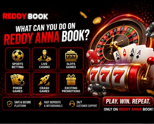 What Can You Do on Reddy Anna Book